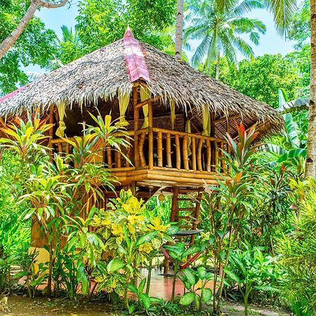Water To Forest Ecolodge Loboc Dış mekan fotoğraf