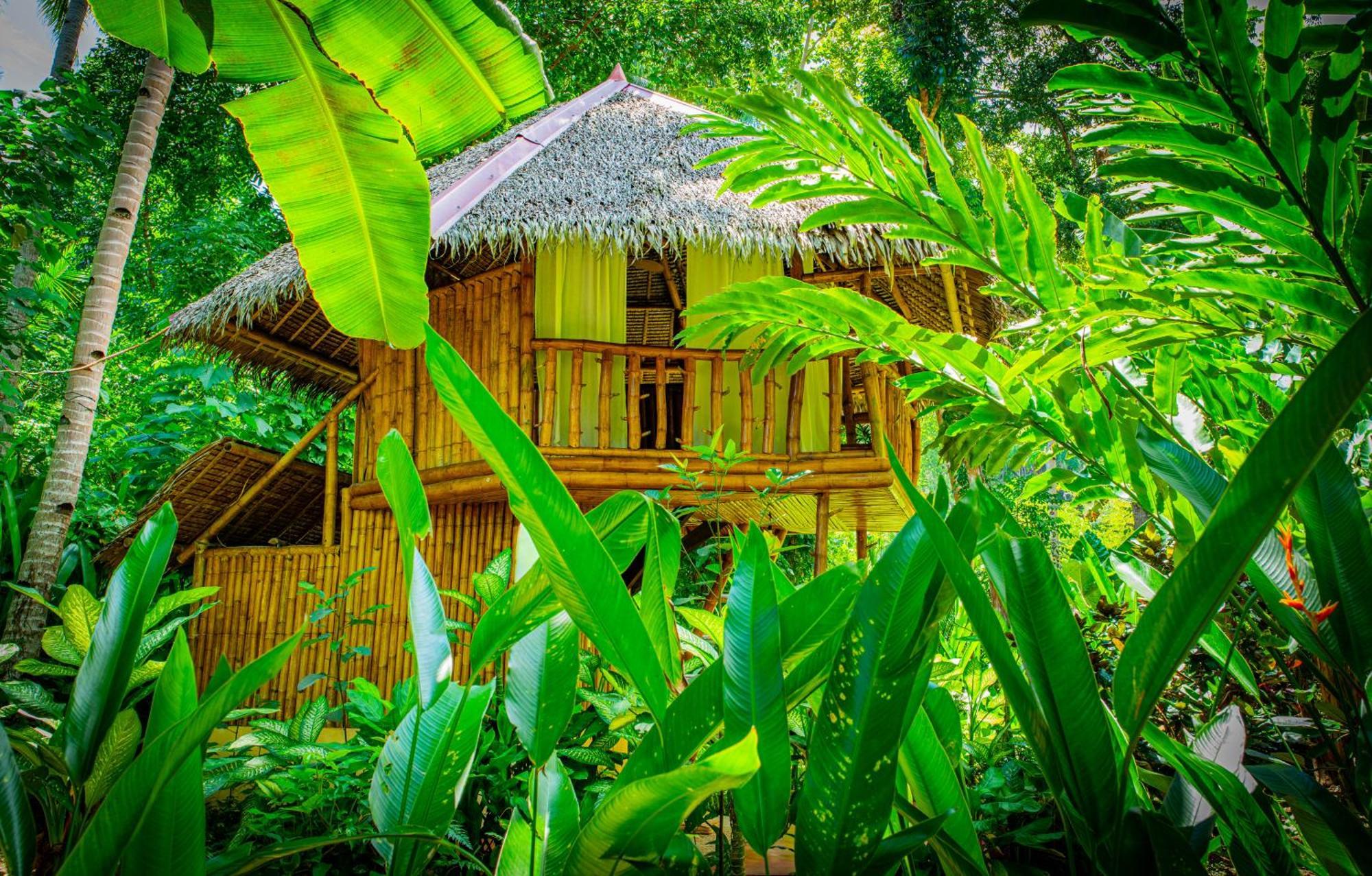 Water To Forest Ecolodge Loboc Dış mekan fotoğraf