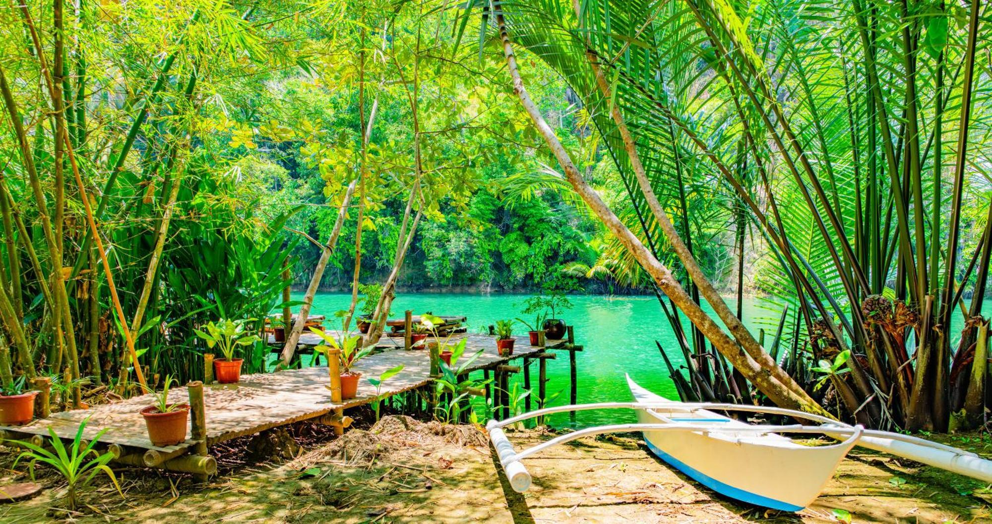 Water To Forest Ecolodge Loboc Dış mekan fotoğraf