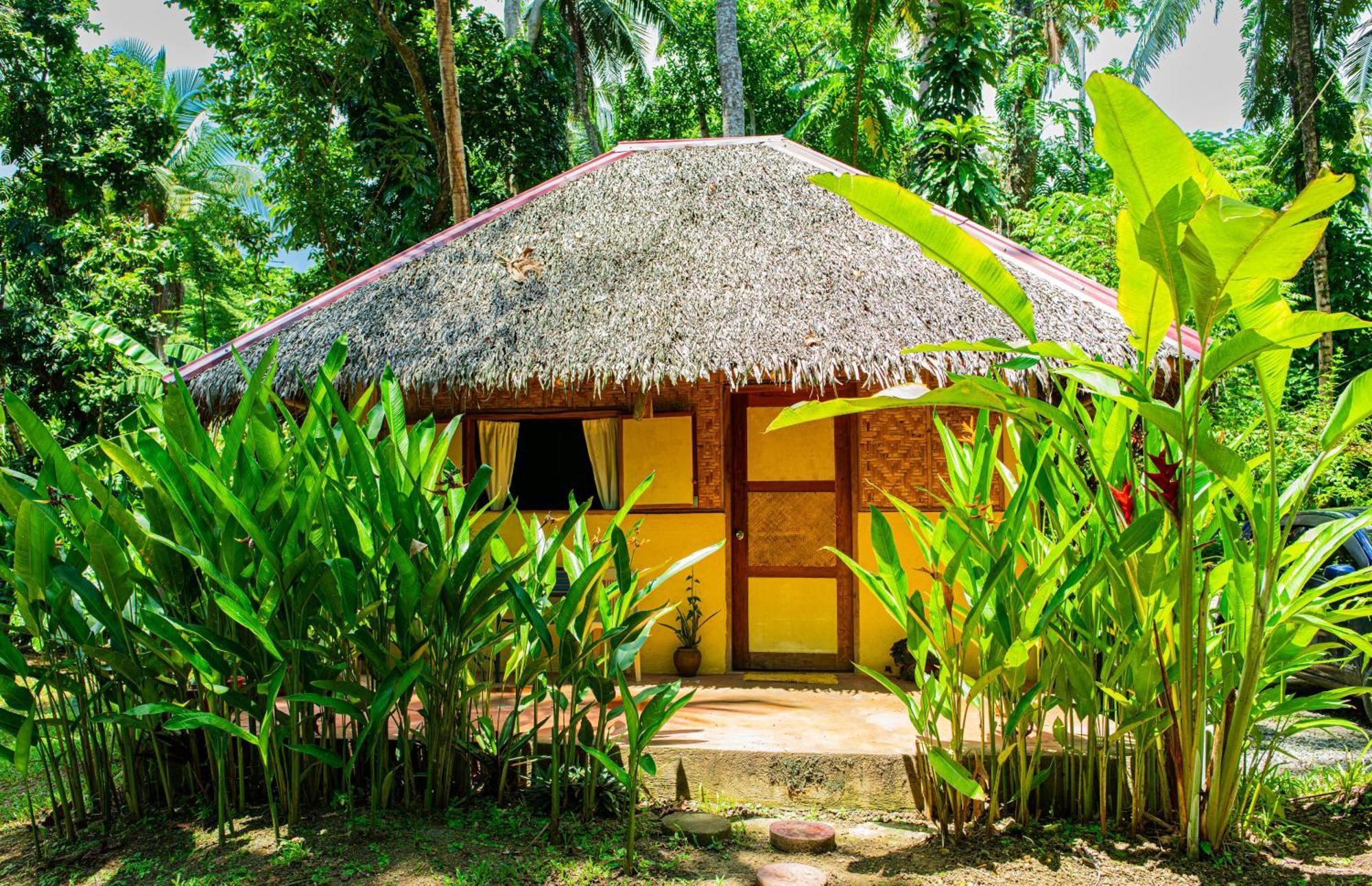 Water To Forest Ecolodge Loboc Dış mekan fotoğraf