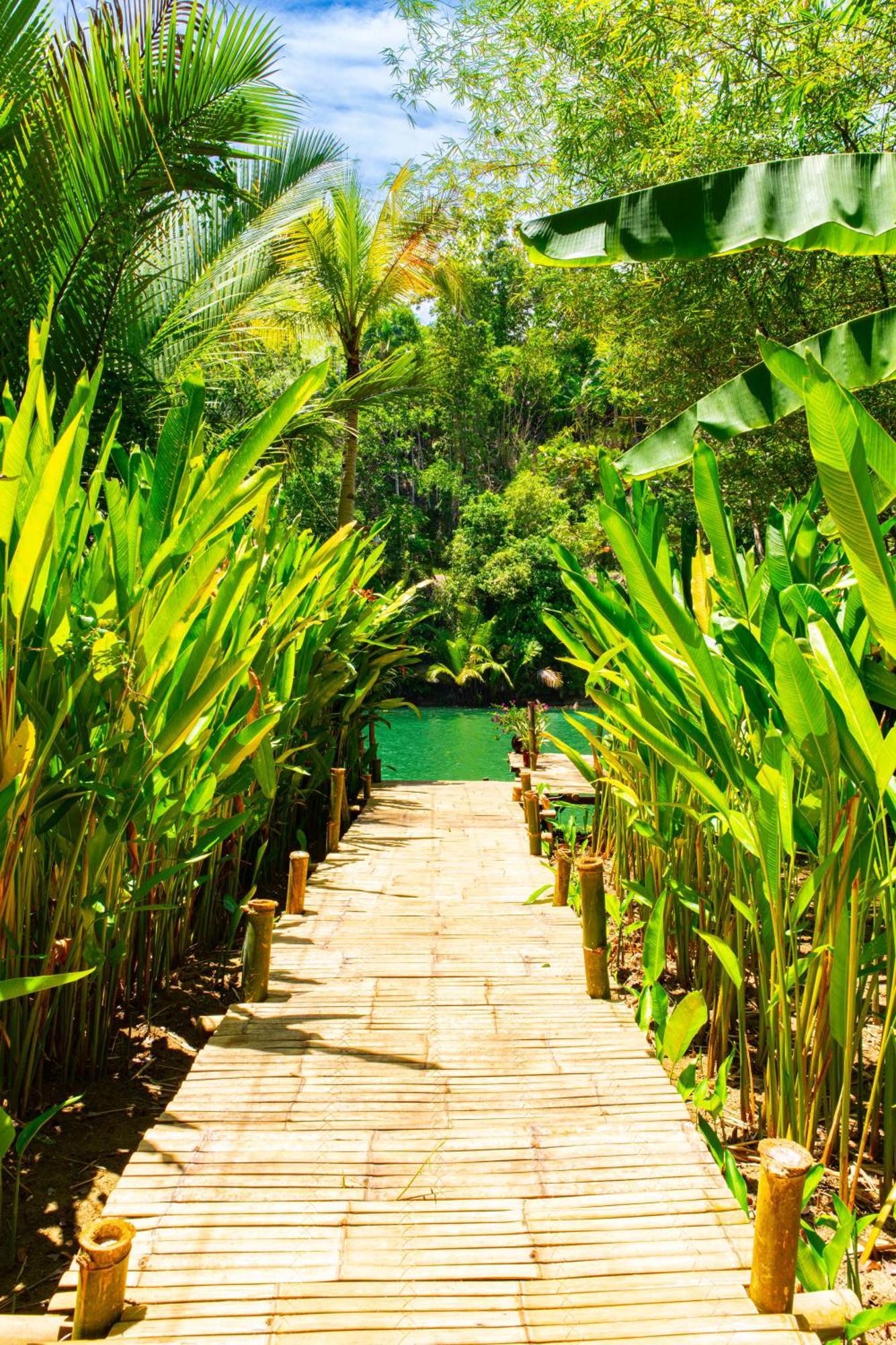 Water To Forest Ecolodge Loboc Dış mekan fotoğraf