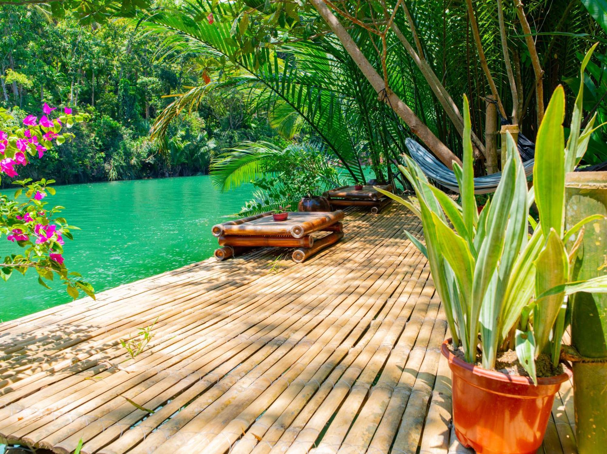 Water To Forest Ecolodge Loboc Dış mekan fotoğraf