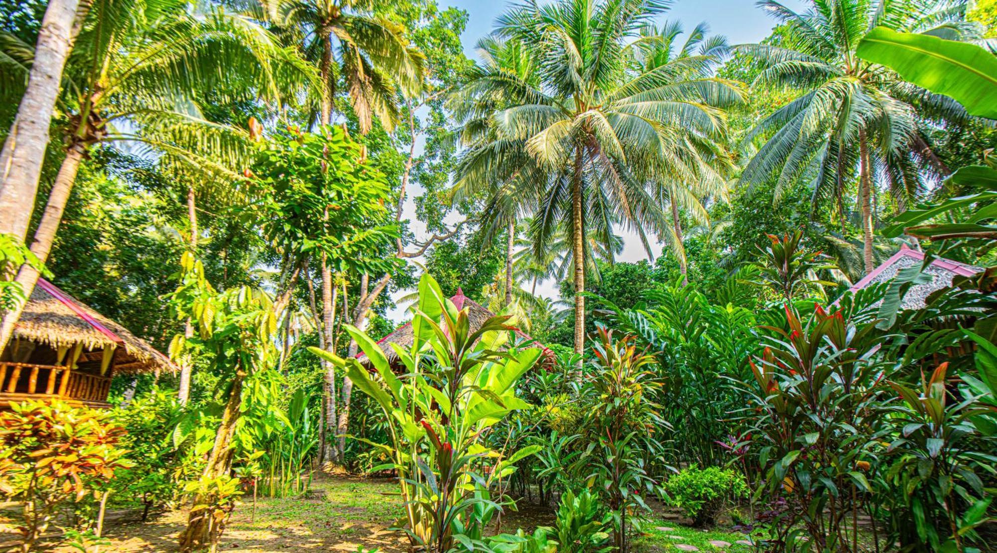 Water To Forest Ecolodge Loboc Dış mekan fotoğraf
