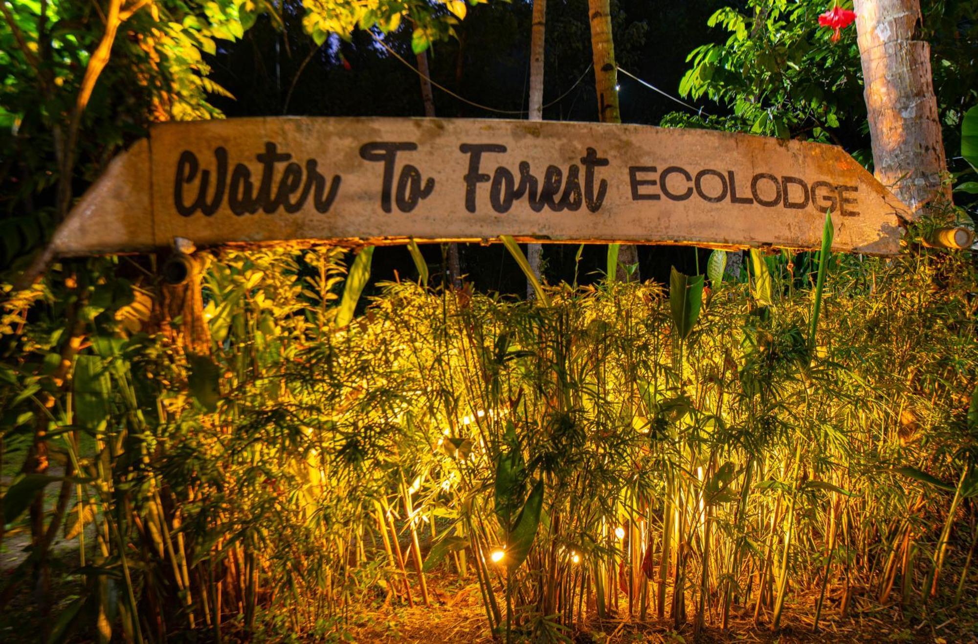 Water To Forest Ecolodge Loboc Dış mekan fotoğraf