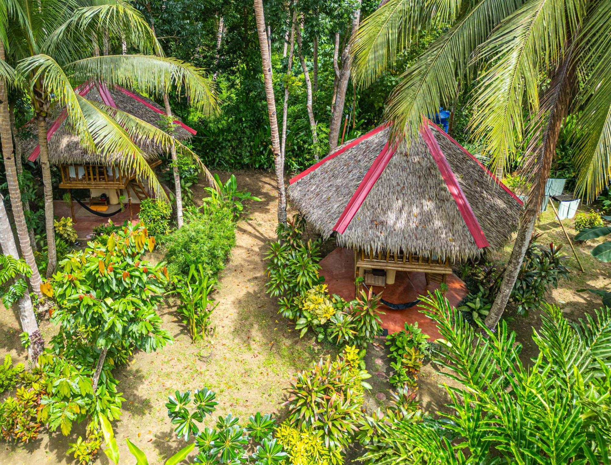 Water To Forest Ecolodge Loboc Dış mekan fotoğraf