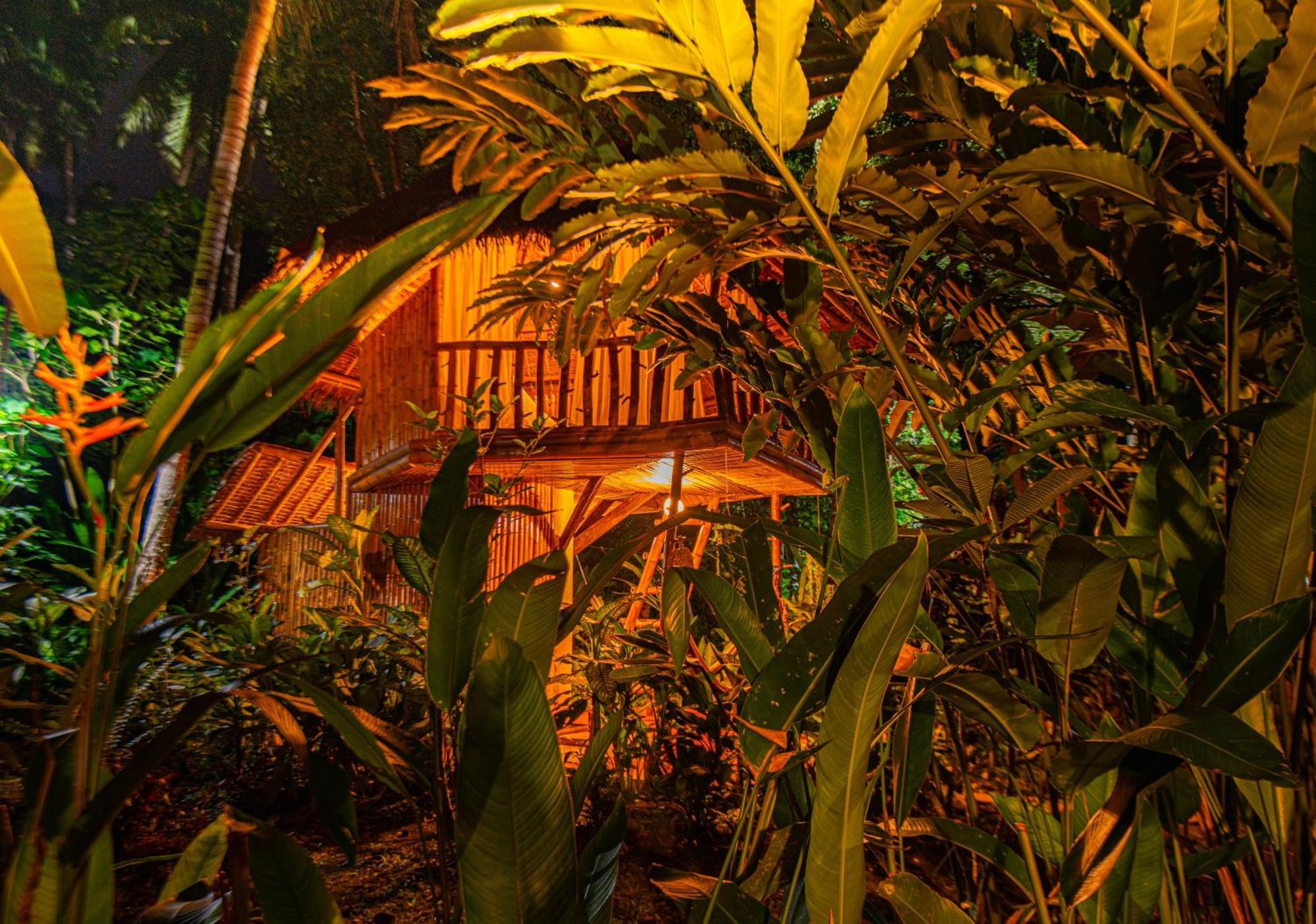 Water To Forest Ecolodge Loboc Dış mekan fotoğraf