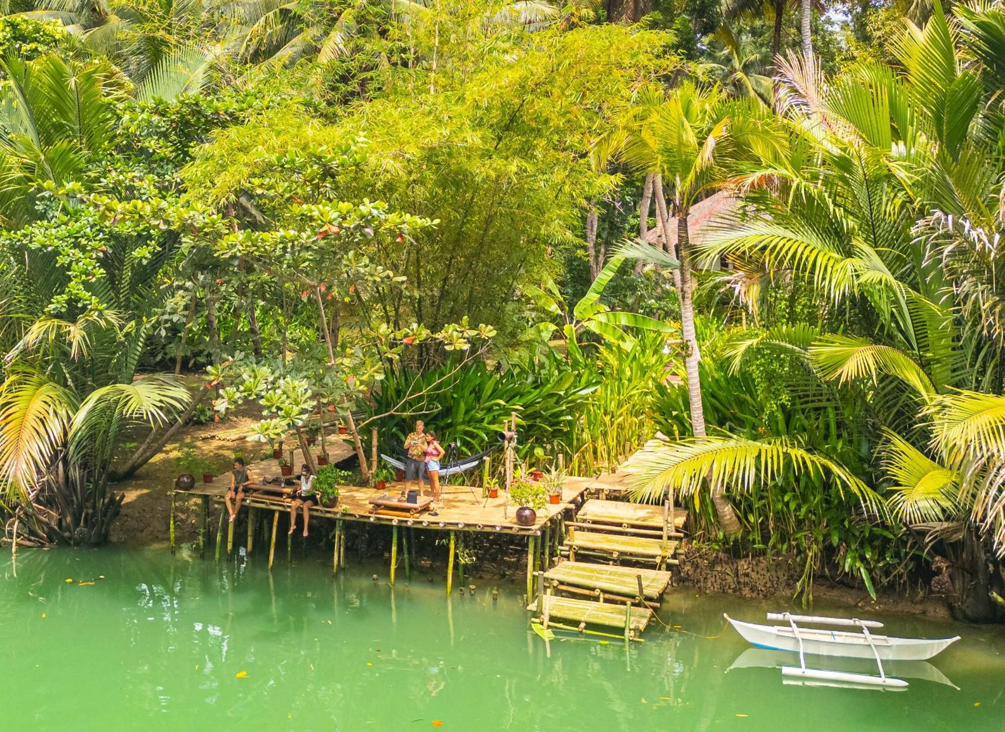 Water To Forest Ecolodge Loboc Dış mekan fotoğraf