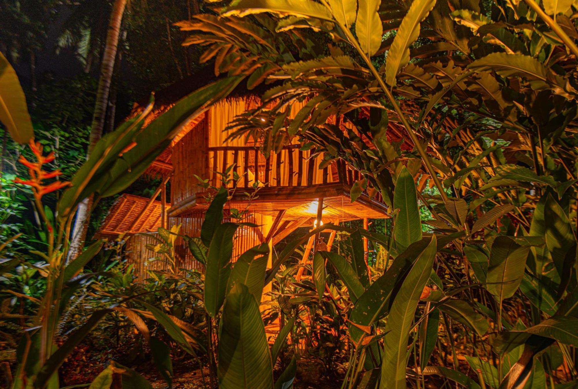 Water To Forest Ecolodge Loboc Dış mekan fotoğraf