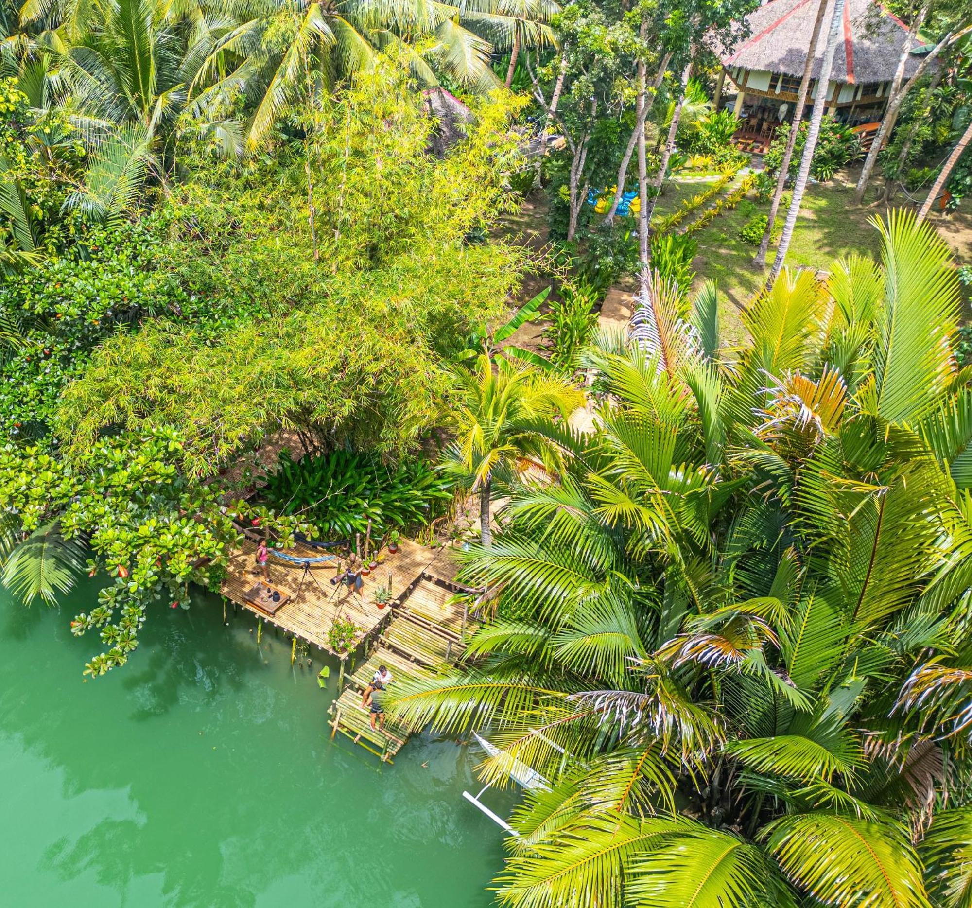 Water To Forest Ecolodge Loboc Dış mekan fotoğraf
