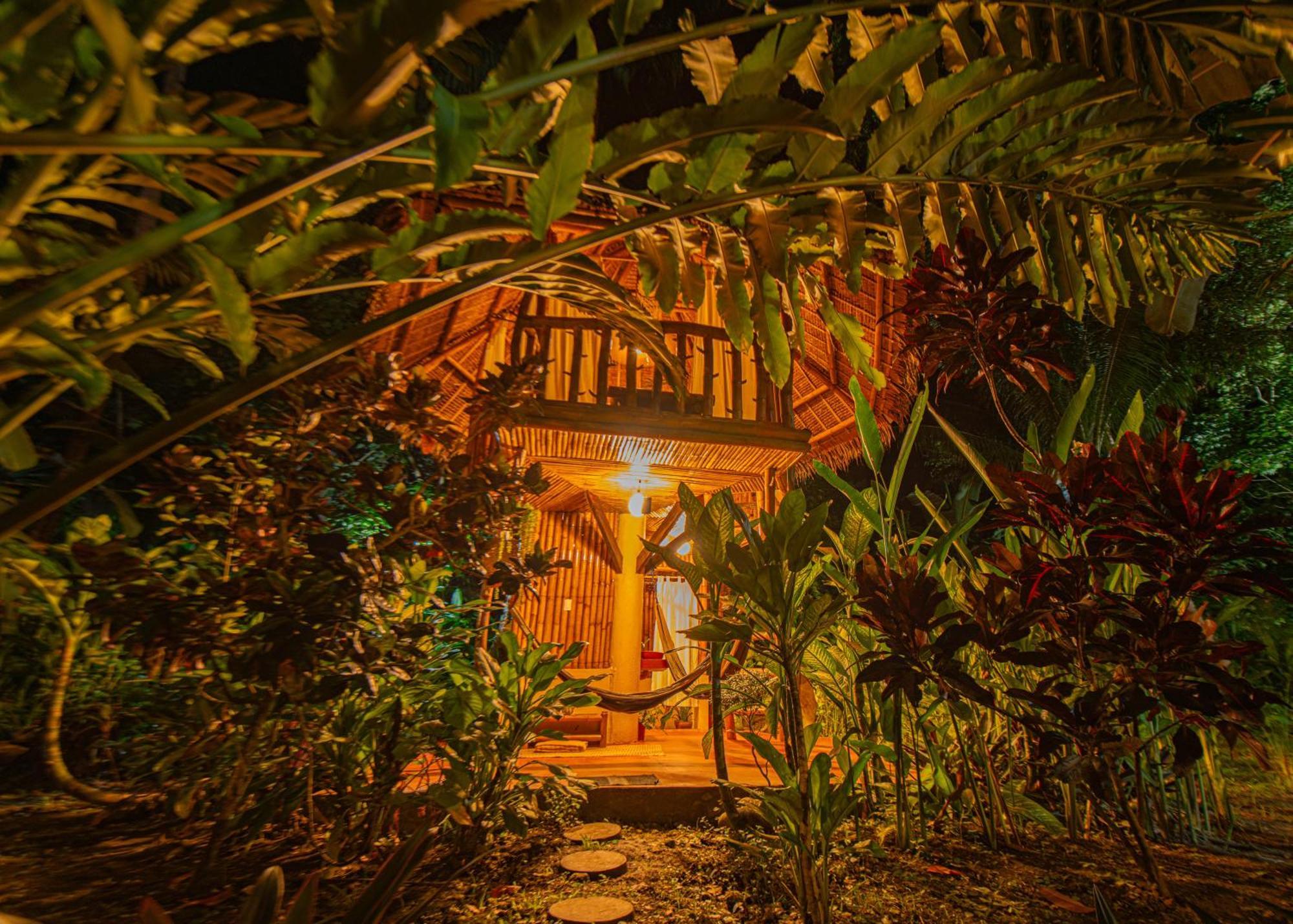 Water To Forest Ecolodge Loboc Dış mekan fotoğraf