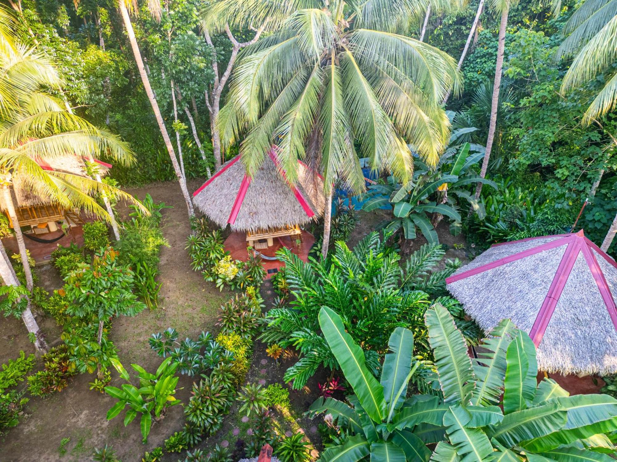Water To Forest Ecolodge Loboc Dış mekan fotoğraf