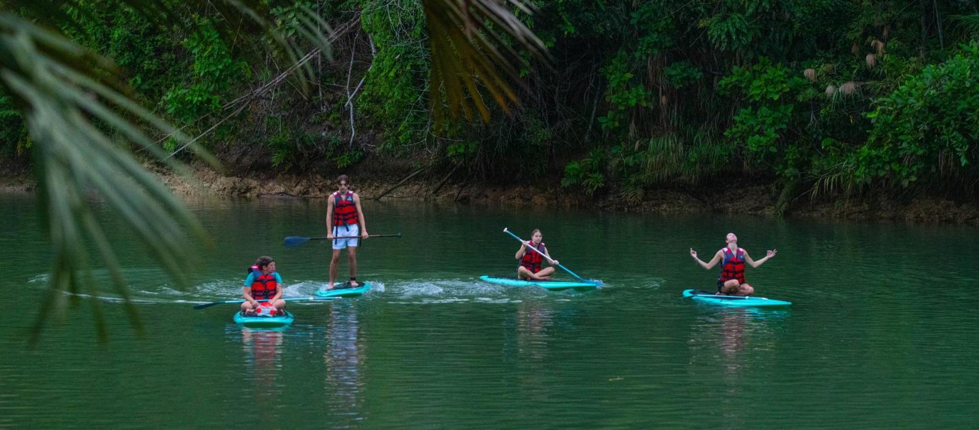 Water To Forest Ecolodge Loboc Dış mekan fotoğraf