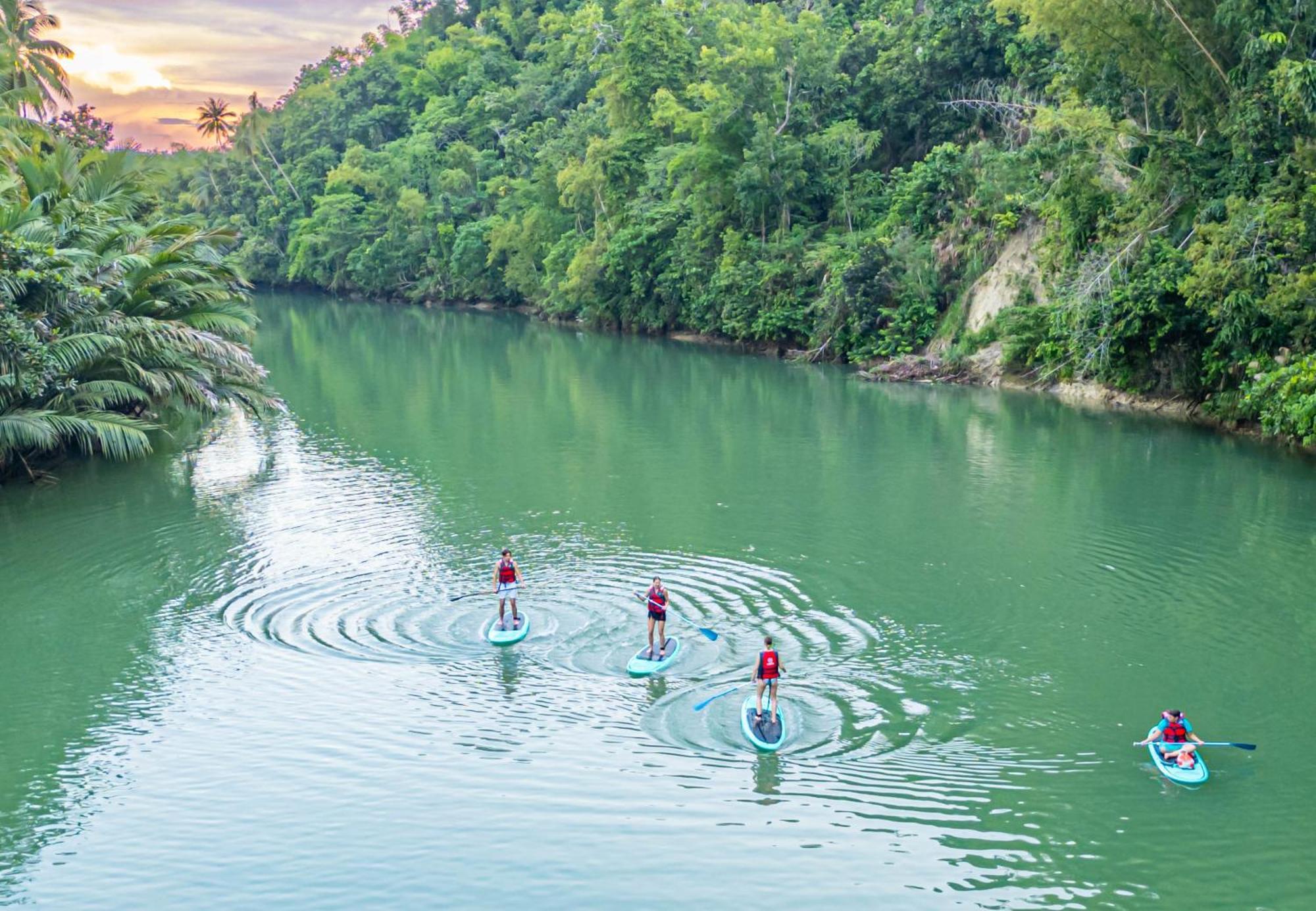 Water To Forest Ecolodge Loboc Dış mekan fotoğraf